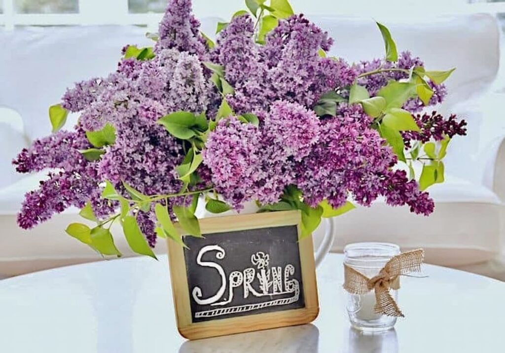 Sunroom makeover ideas with a lilac flower bouquet and a small chalkboard with Spring on coffee table.