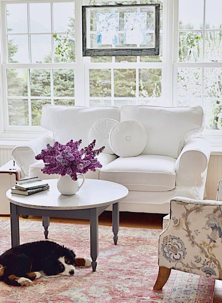 Sunroom with vintage room aesthetic and puppy.