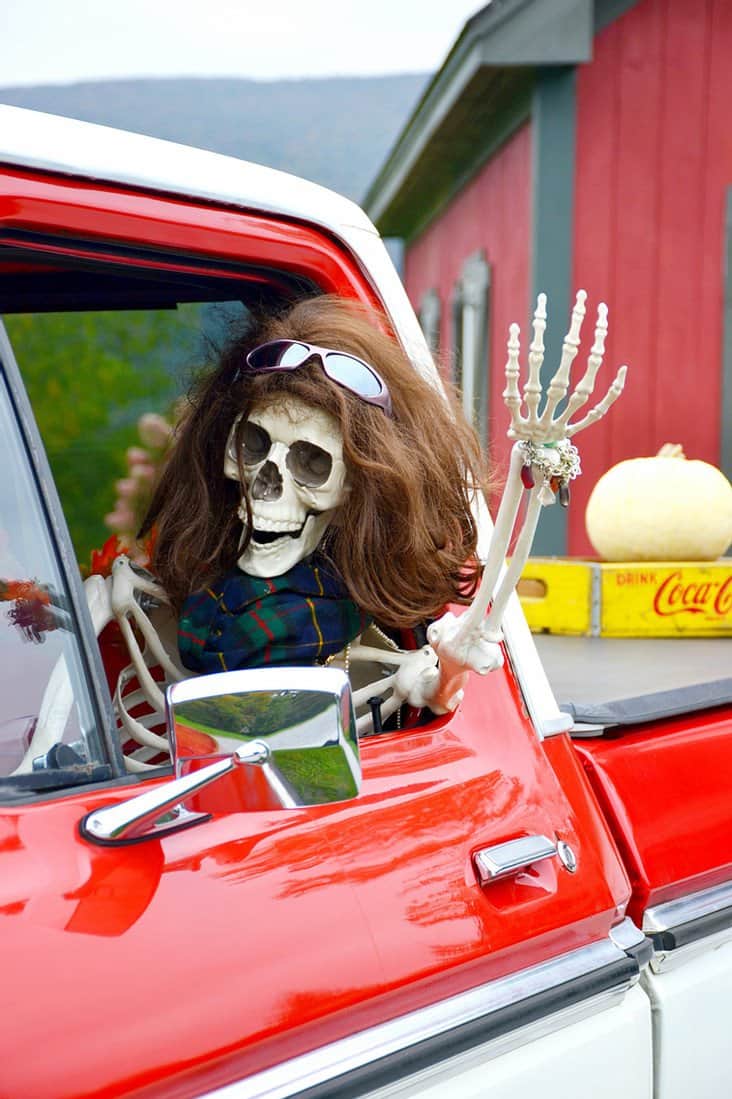 Skeleton with womens wig and sunglasses waving out the window of an old truck for Halloween skeleton decorating ideas.