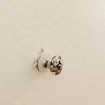 Phillips screw close up mounted into wall.
