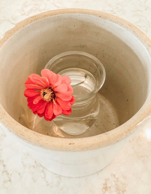 Antique crockery with glass jar of water and one pink flower.