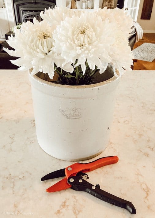 Antique Crock full of white carnations with clippers.
