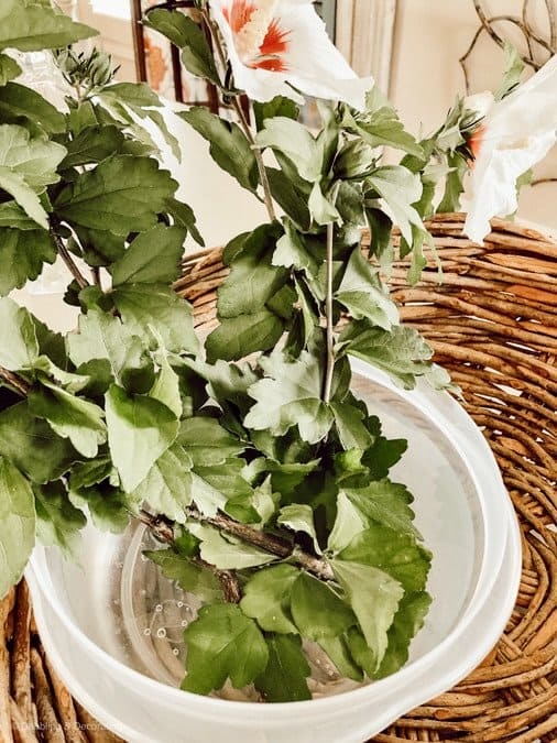 Leaves in basket and tupperware of water creating a farmhouse centerpiece.