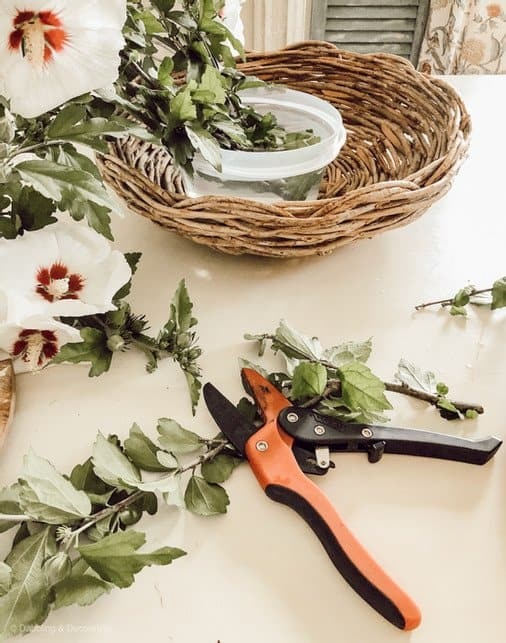 Basket with tupperware of water, flower clippers and Rose of Sharon flowers gathered styling a farmhouse centerpiece for table.