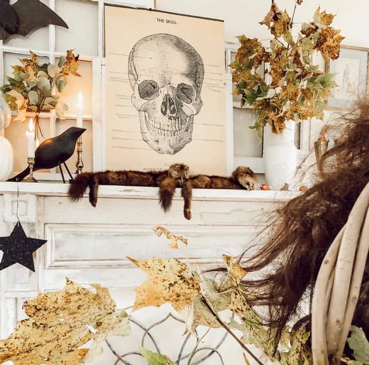Vintage Halloween Mantel ideas with a science classroom skull poster, thrifted minks, foraged fall arrangements and salvaged windows.