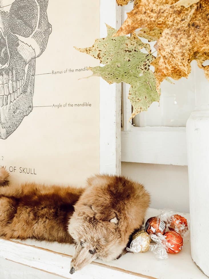 Halloween Vintage Mantel ideas with Lindt Lindor Chocolate and a thrifted Mink curled up closely.