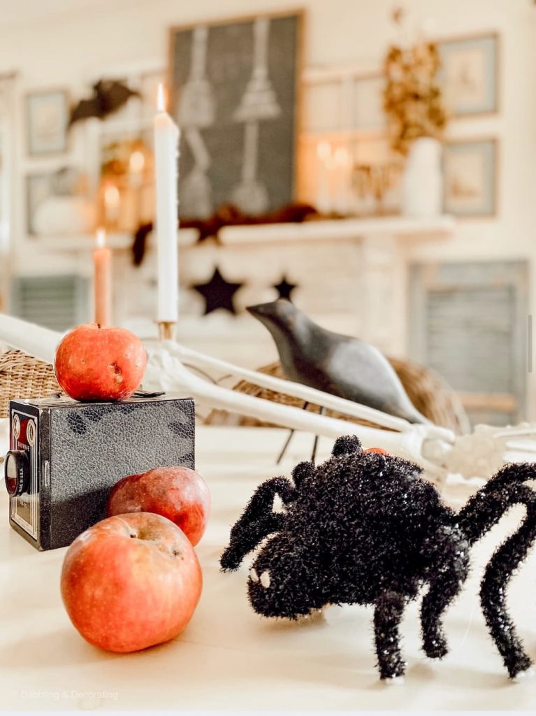 Spider and Apples on Table