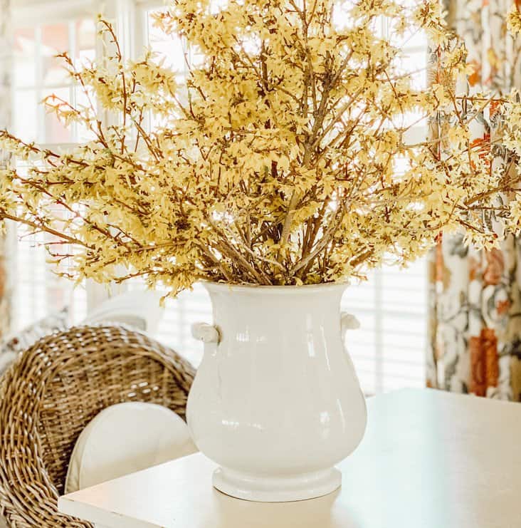 Blooming Forced yellow Forsythia Branches on table in Grub Pot