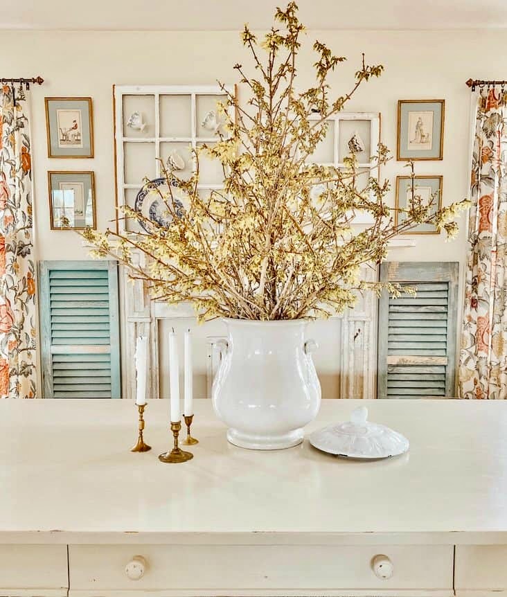 Forcing Forsythia Branches to Bloom Indoors with yellow blooms