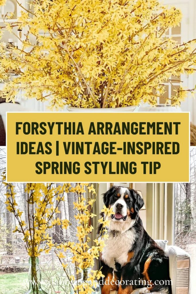 Forsythia Arrangement Ideas | Vintage-Inspired Spring Styling Tip