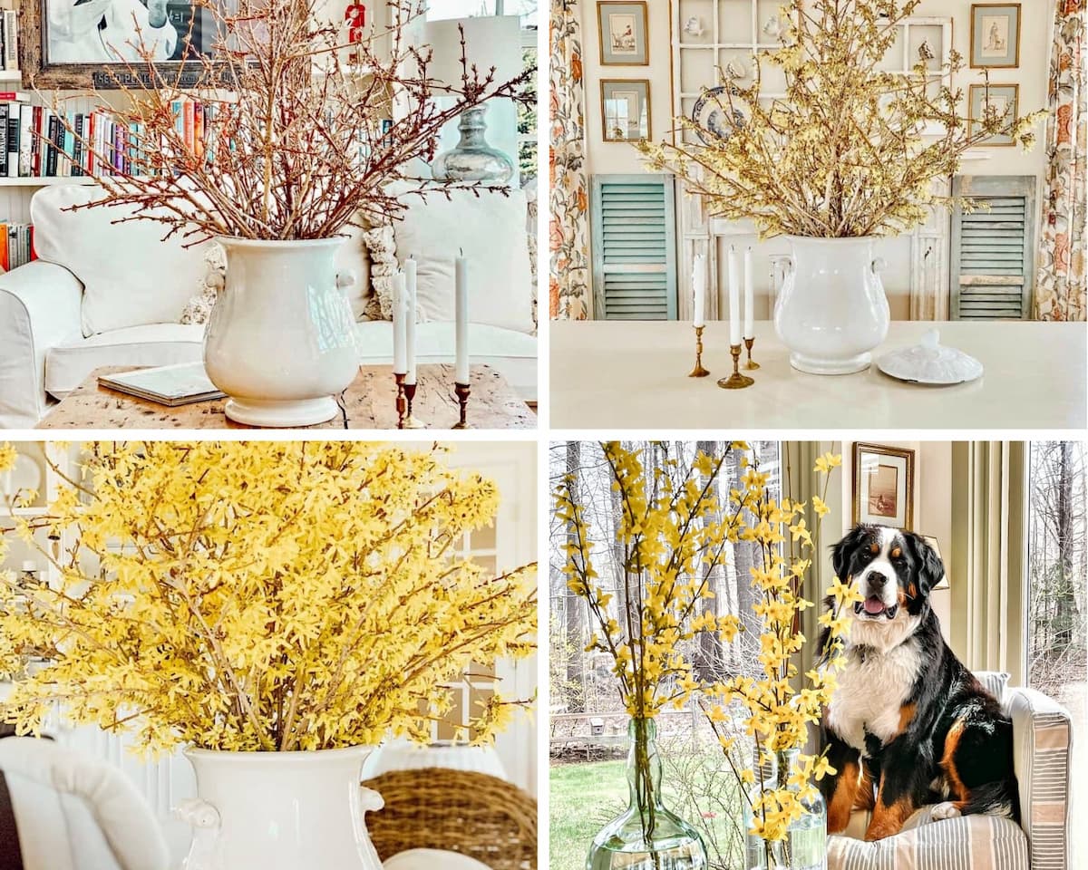 Forsythia Arrangement the Vintage Way: Early Cuts, Big Blooms, Beautiful Style