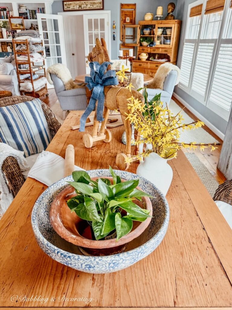 Forsythia Cut Flower Arrangement in white pitcher on scullery-inspired wooden table in open floor plan.