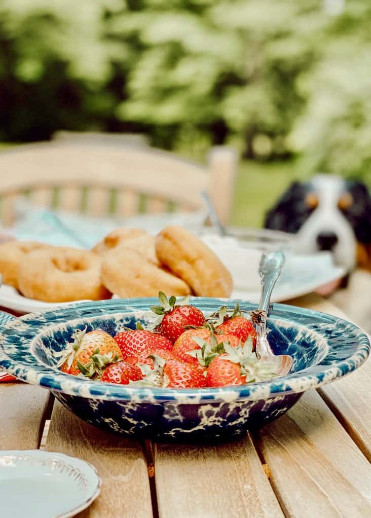 Bowl of strawberries with Bernese Mountain Dog looking on.