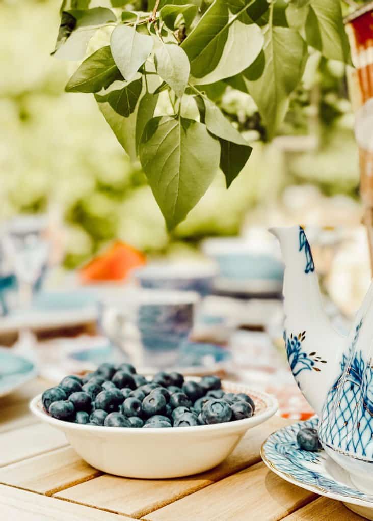 Bowl of blueberries on outdoor table.