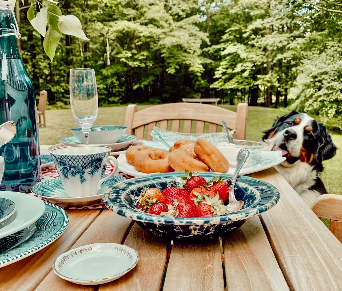 An Alfresco Summer Breakfast Table Outdoor Patriotic Alfresco table setting with a Bernese Mountain dog looking on.