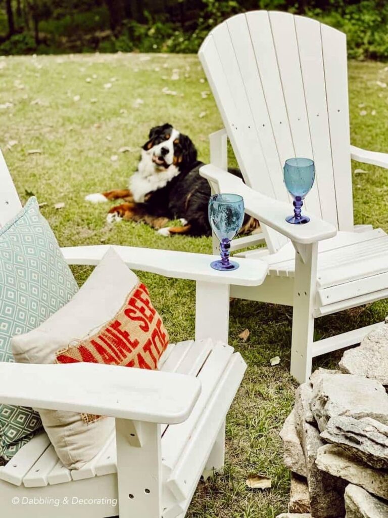 Bernese Mountain sitting next to white Adirondack chairs around stone fire pit in backyard.