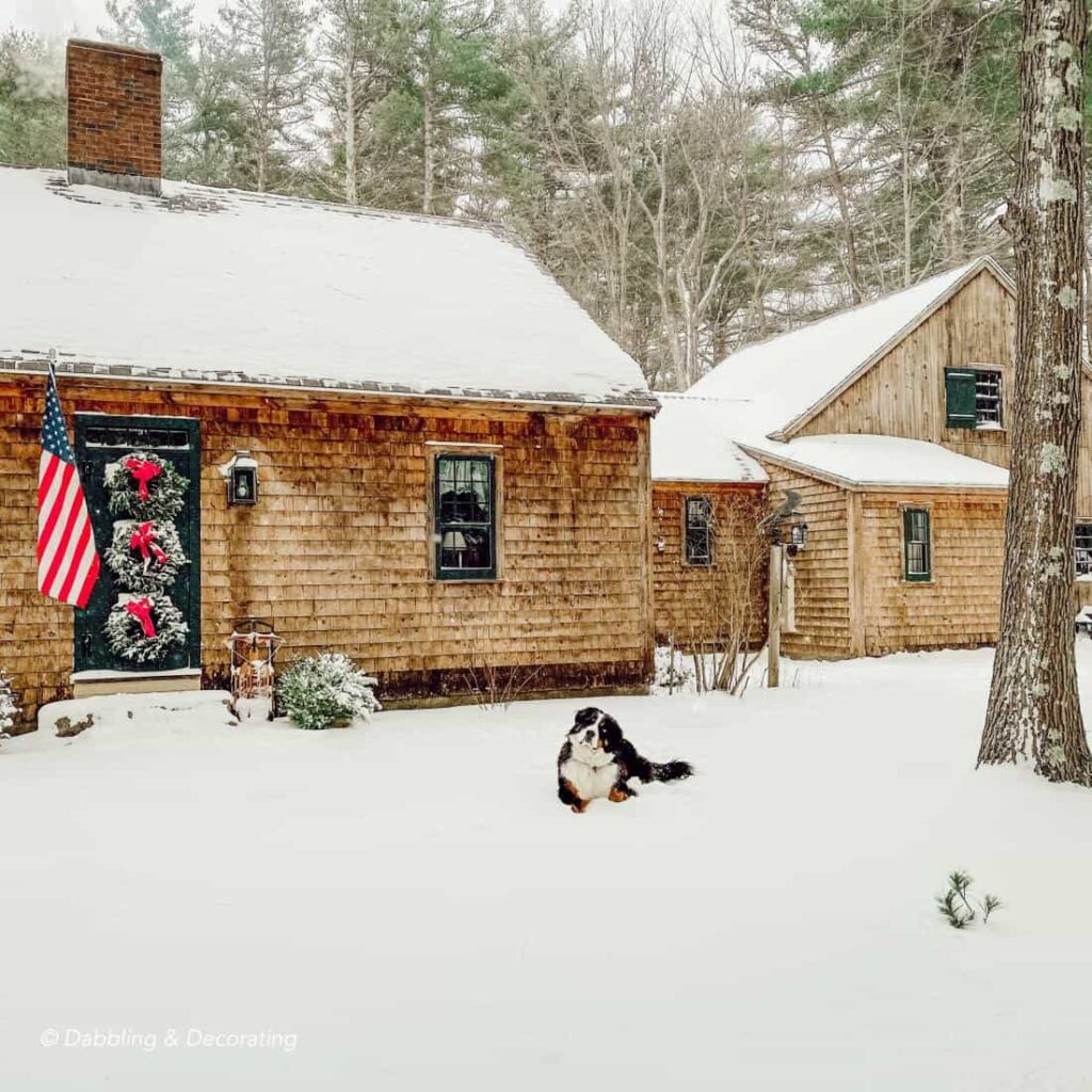 Snowy Scenes- Discovering Our Cottage in Maine