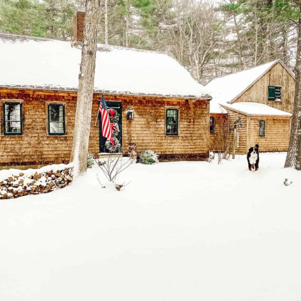 Rustic Cottage in Maine in Snow with Bernese Mountain Dog