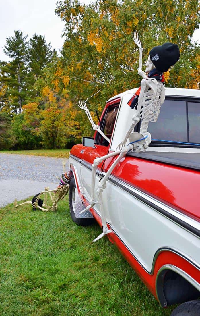 Vintage Ford truck full of Halloween skeletons.