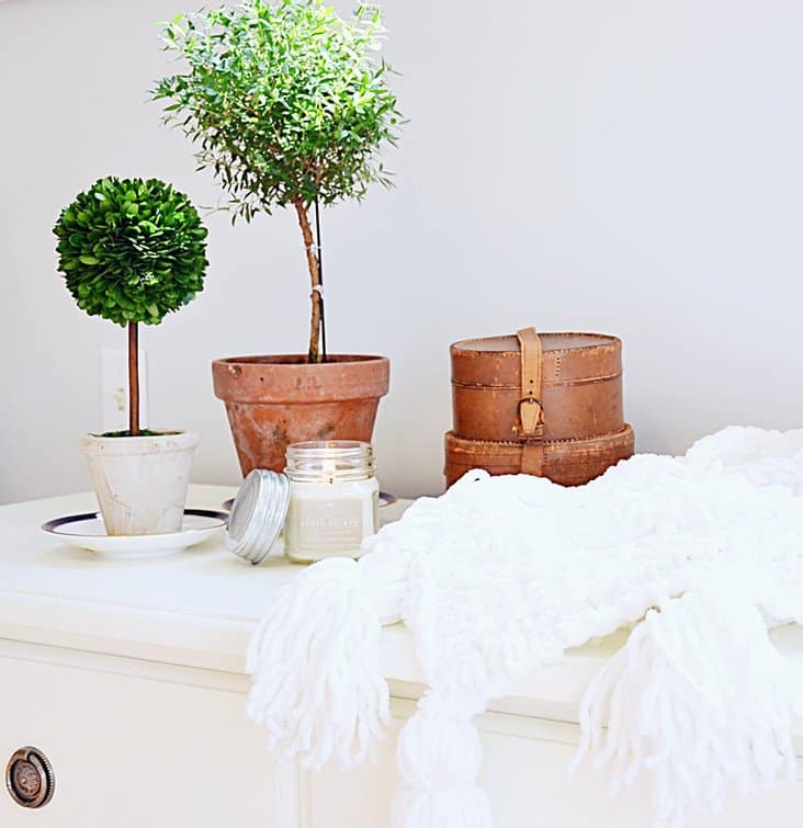 Thrifty decor with small potted plants on a white dresser.