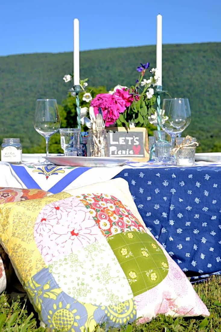 Pillows and picnic pallet table.