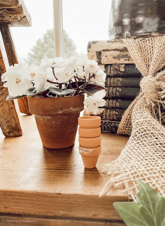 Spring Greenery, Terracotta Pots and a Repurposed Card Catalog