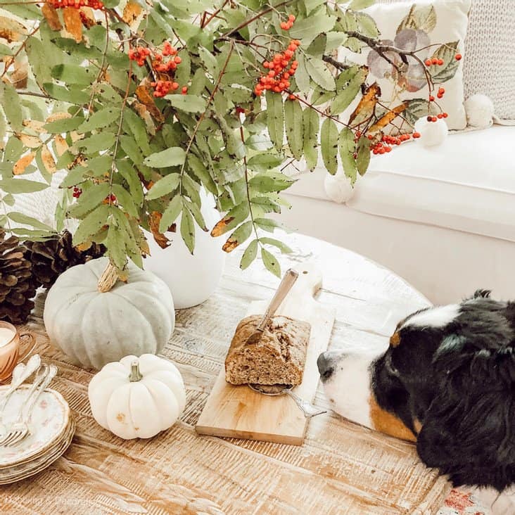 Cozy Fall Sunroom