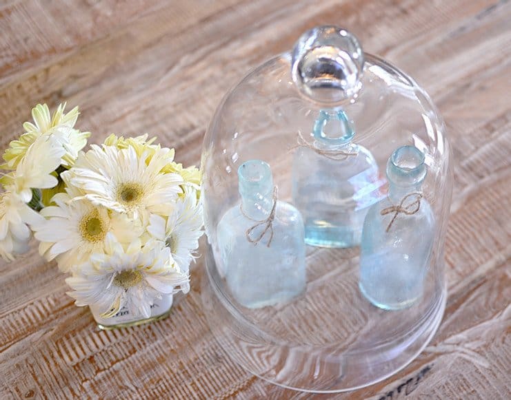 Vintage cloche with bottles and flowers on coffee table.