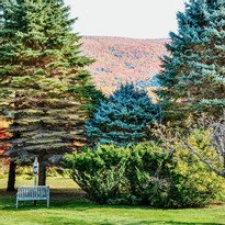 Vermont Home Decor Blog