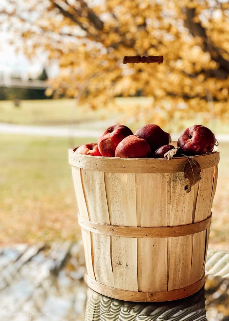 Basket of apples.