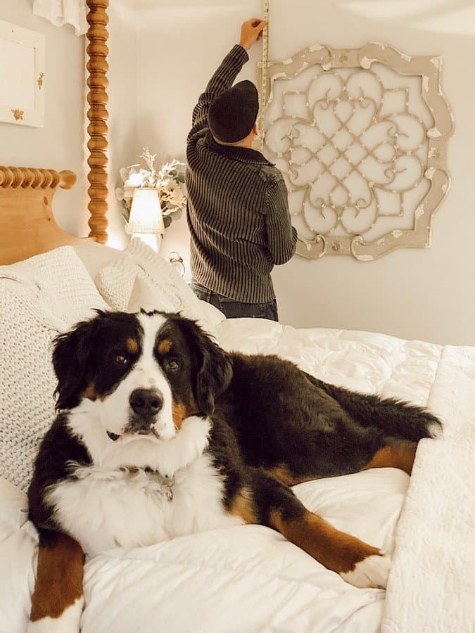 Cozy Master Bedroom Makeover with Bernese Mountain Dog.