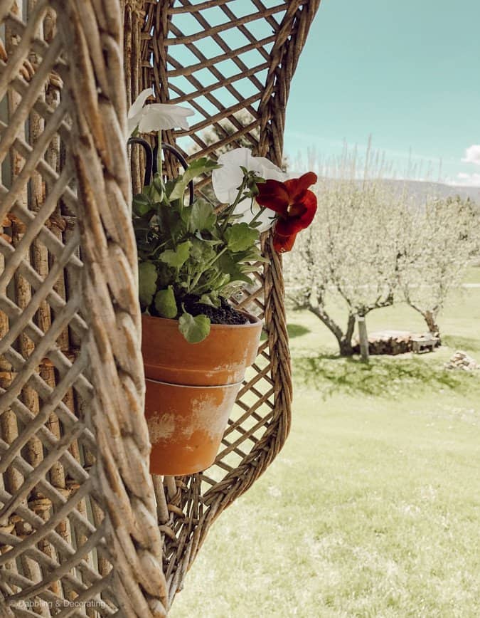 Garden Terracotta Cupboard