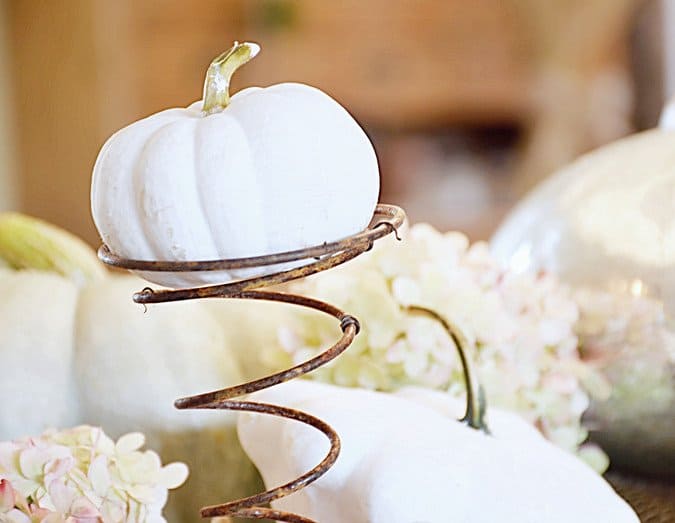 White pumpkin with vintage spring in fall decor.
