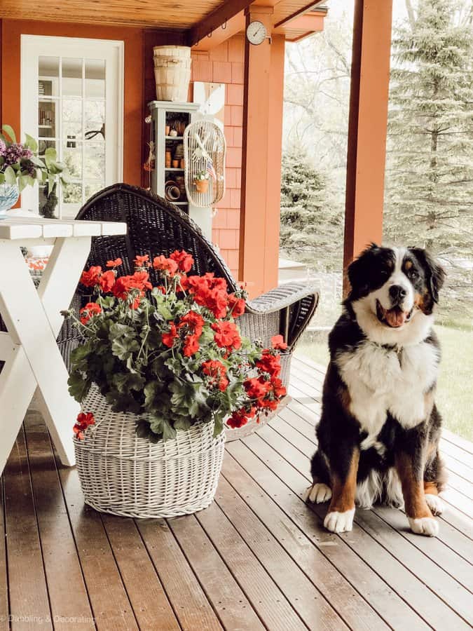 Vintage Porch Decor and Gardener's Terracotta Cupboard
