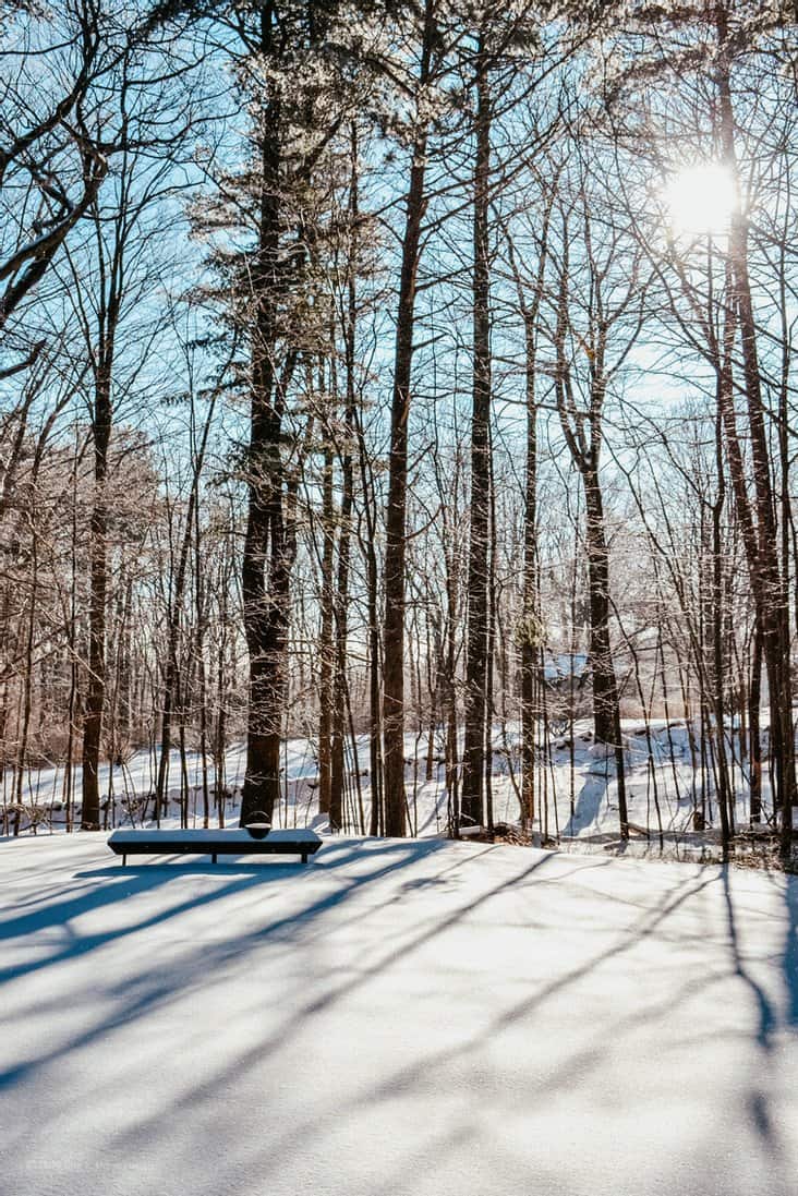 Our Family Inherited Coastal Maine Home ~ Before