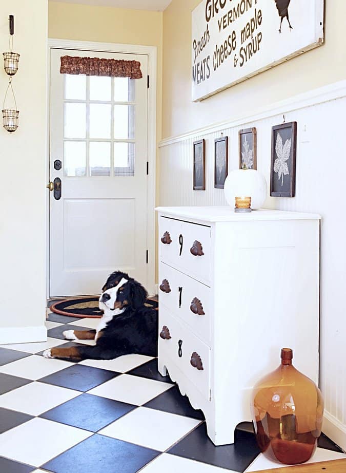 Entryway Ideas with Antique Decor and Bernese Mountain Dog