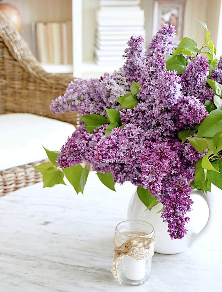 Lilacs and shelfie.