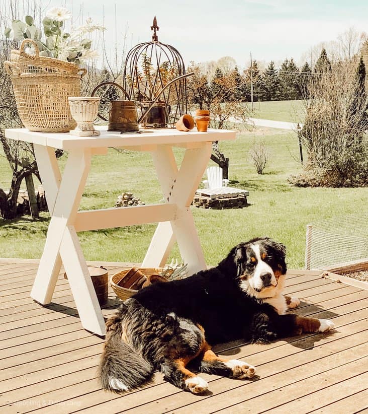 DIY Garden Table