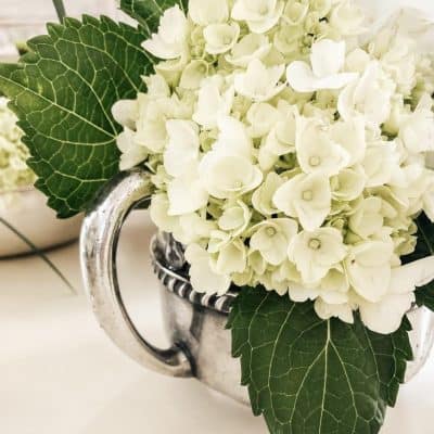St. Patricks Day Home Decor Ideas