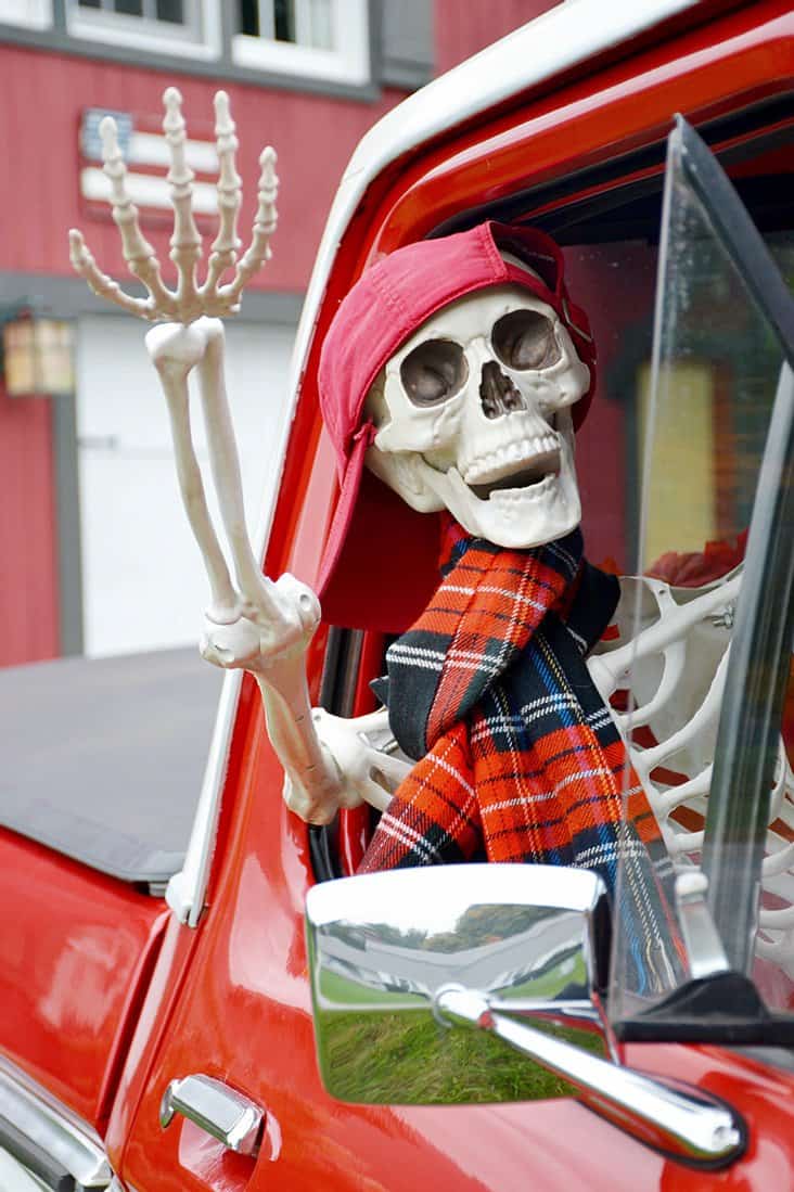 Male Halloween skeleton waving out of vintage Ford truck.