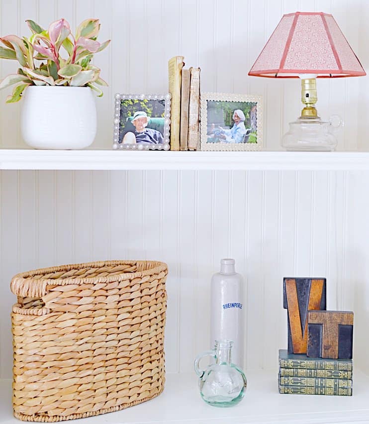 Shelfie with vintage pieces and plant.