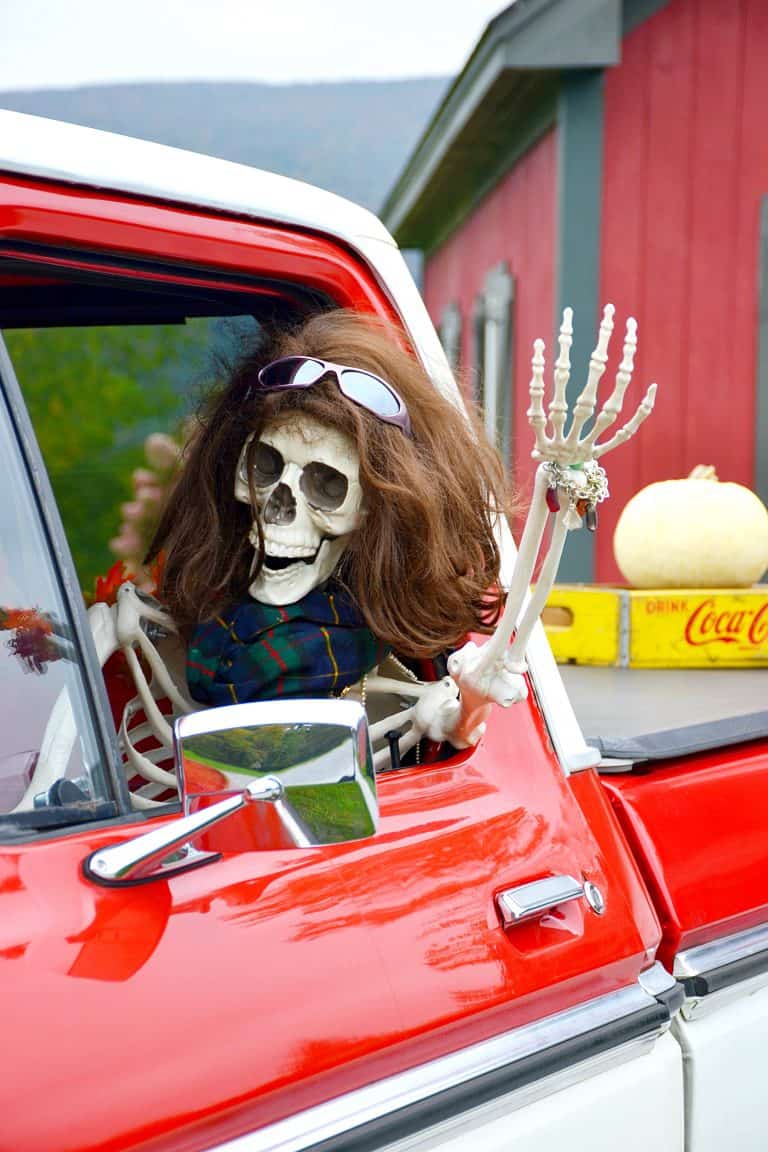Halloween Skeleton Fun