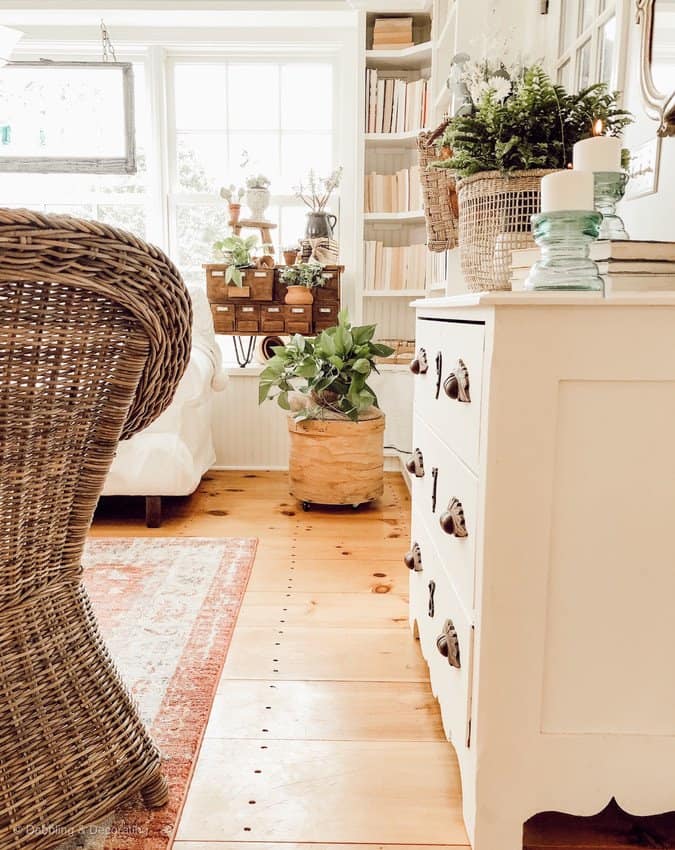 Spring Greenery, Terracotta Pots and a Repurposed Card Catalog