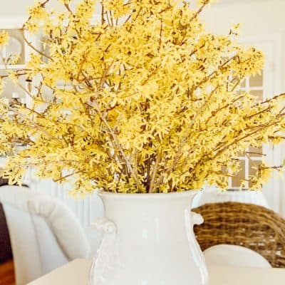 Forcing Forsythia Branches into Beautiful Spring Flowers