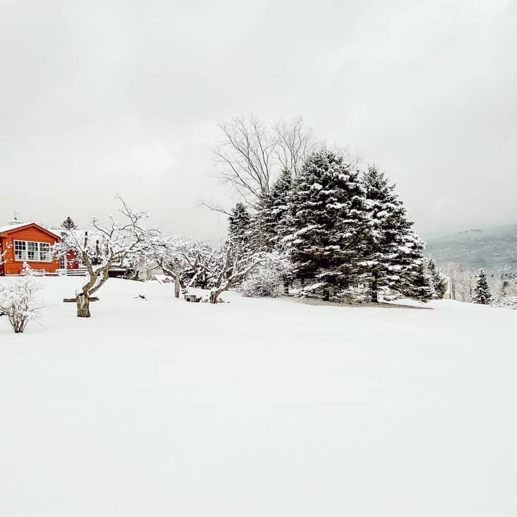 A Sunny Vermont Winter Day