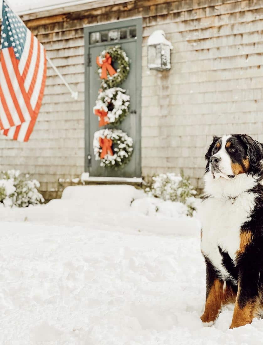 A Front Door Christmas Tradition