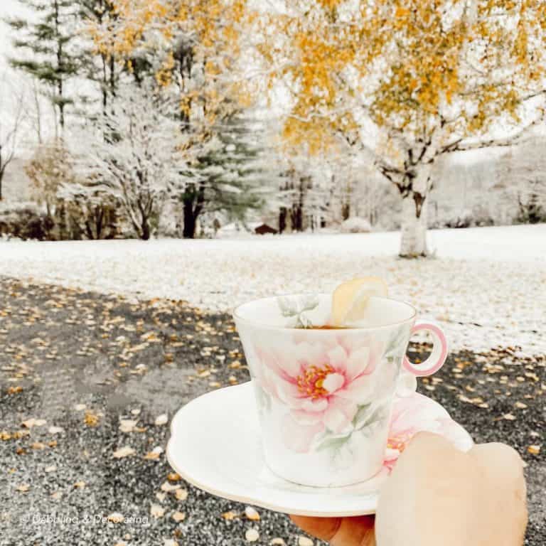 Warming up in Vermont with the Traveling Teacup