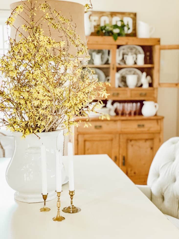 FORCING FORSYTHIA BRANCHES INTO A BEAUTIFUL SPRING FLOWER ARRANGEMENT