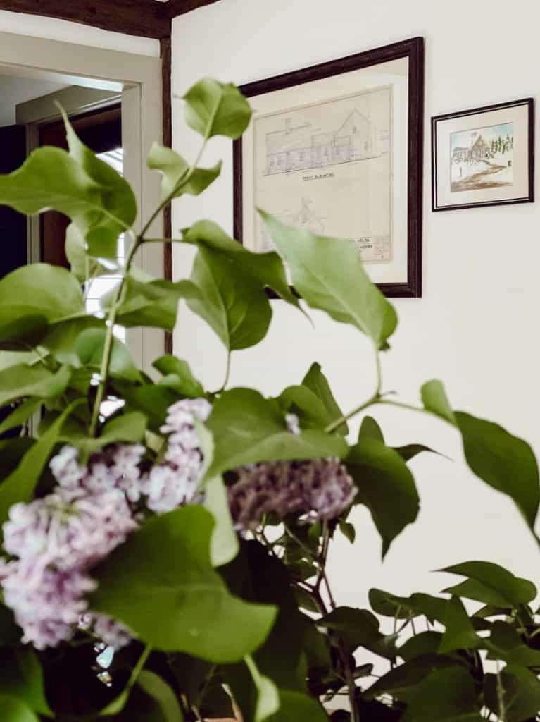 Colonial House Plans:  on the wall with lilacs in dining room.