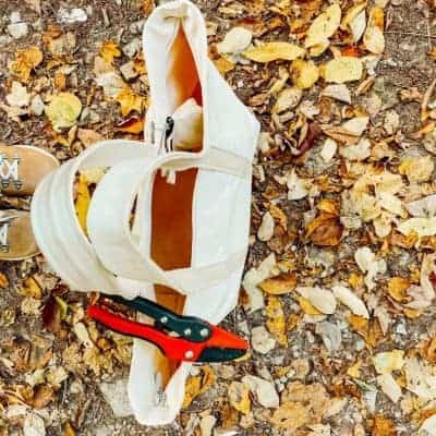 Hiking and Gathering for Natural Fall Decor Elements